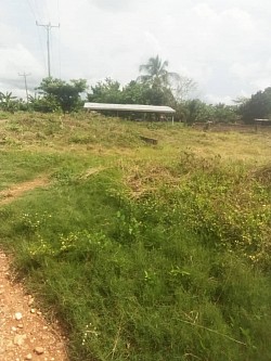 Proposing site