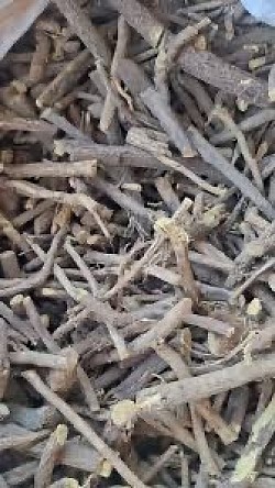 Roots