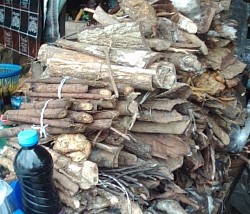 Root store
